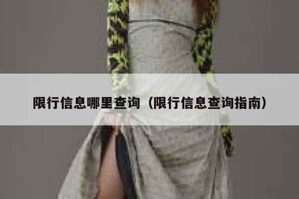 限行信息哪里查询（限行信息查询指南） 第1张