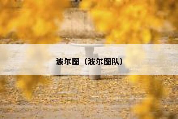 波尔图（波尔图队） 第1张