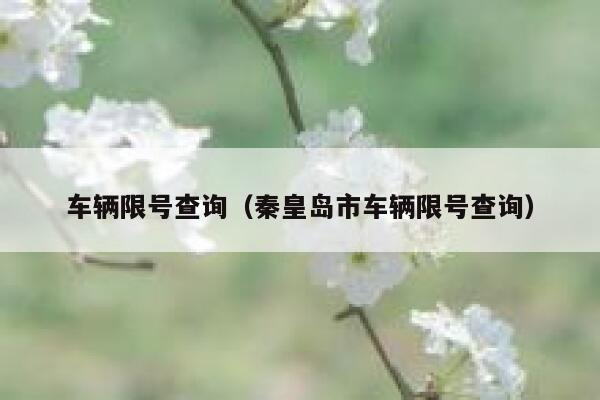 车辆限号查询（秦皇岛市车辆限号查询） 第1张