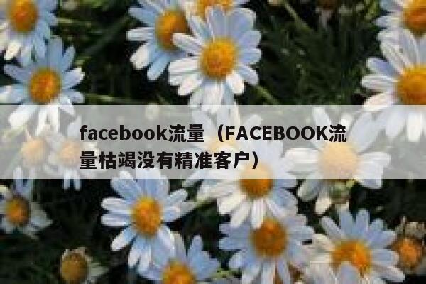 facebook流量（FACEBOOK流量枯竭没有精准客户） 第1张