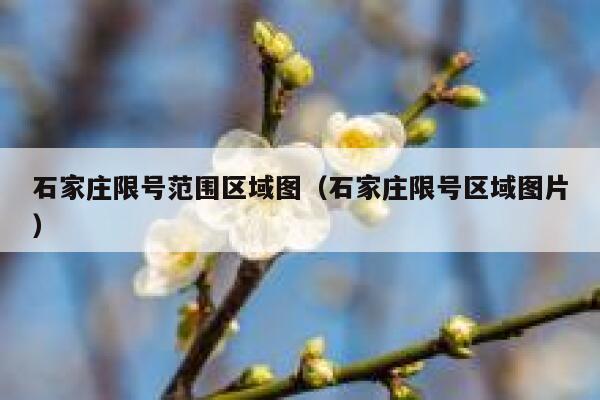 石家庄限号范围区域图（石家庄限号区域图片） 第1张