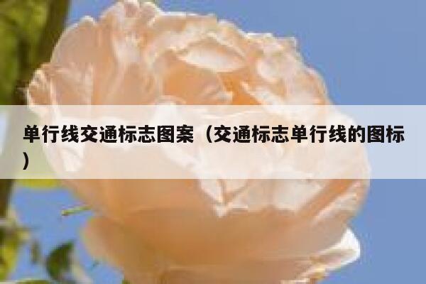 单行线交通标志图案（交通标志单行线的图标） 第1张