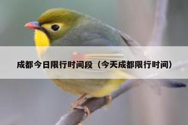 成都今日限行时间段（今天成都限行时间） 第1张