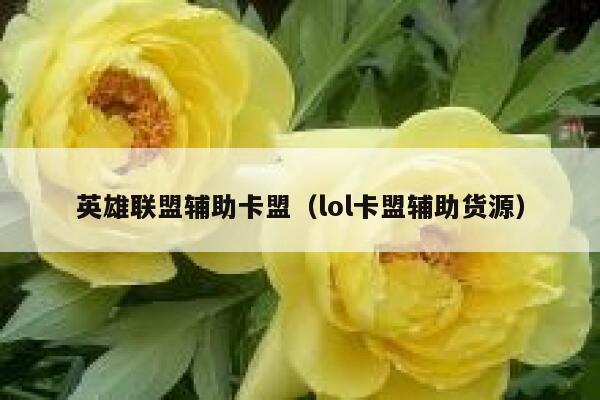 英雄联盟辅助卡盟（lol卡盟辅助货源） 第1张