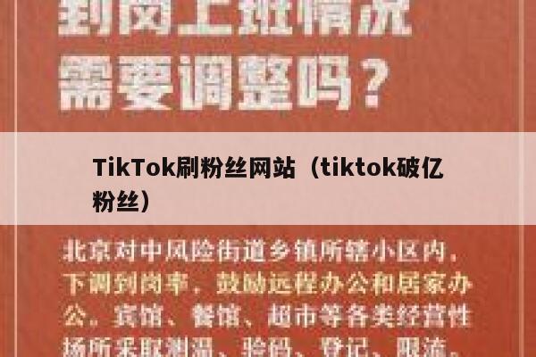 TikTok刷粉丝网站（tiktok破亿粉丝） 第1张
