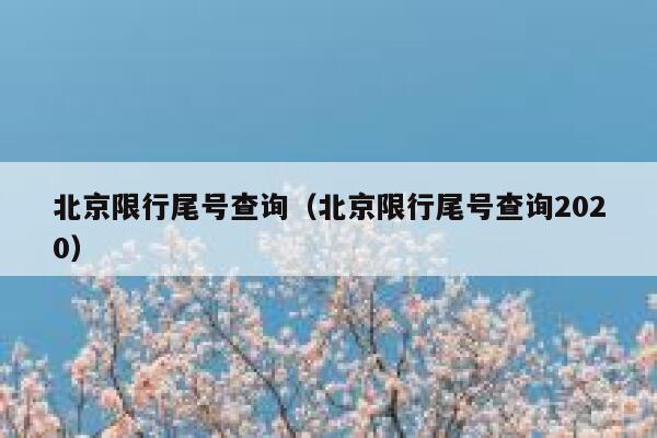 北京限行尾号查询（北京限行尾号查询2020） 第1张