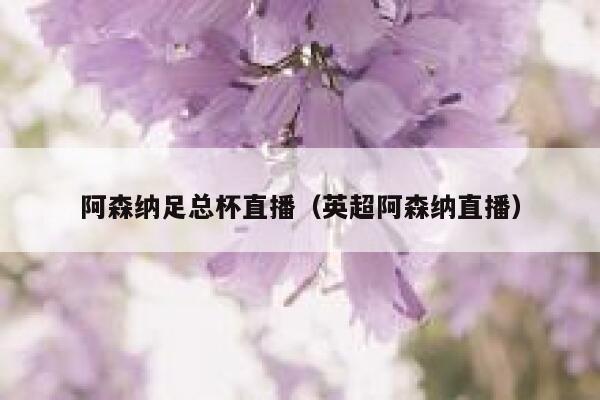 阿森纳足总杯直播（英超阿森纳直播） 第1张