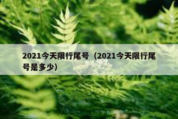 2021今天限行尾号（2021今天限行尾号是多少） 第1张