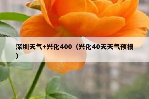 深圳天气+兴化400（兴化40天天气预报） 第1张