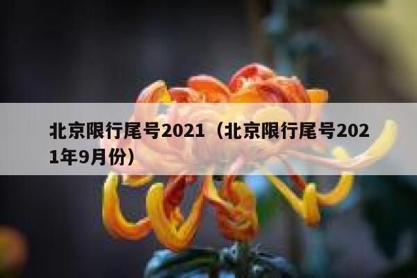 北京限行尾号2021（北京限行尾号2021年9月份） 第1张
