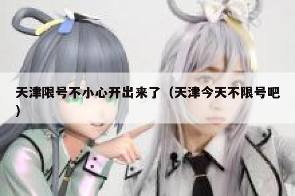 天津限号不小心开出来了（天津今天不限号吧） 第1张