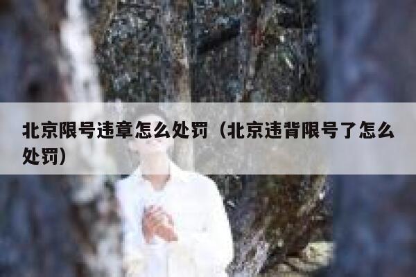 北京限号违章怎么处罚（北京违背限号了怎么处罚） 第1张