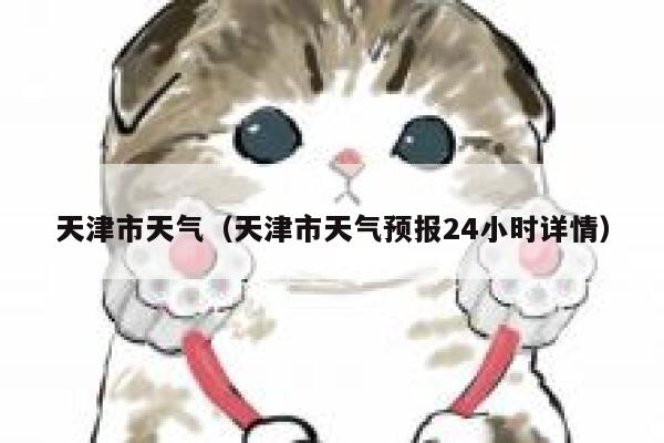 天津市天气（天津市天气预报24小时详情） 第1张