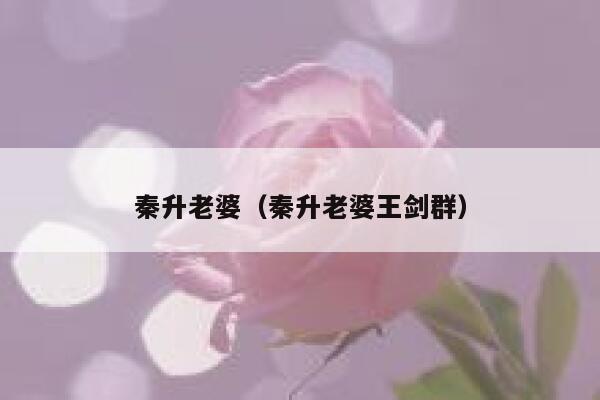 秦升老婆（秦升老婆王剑群） 第1张