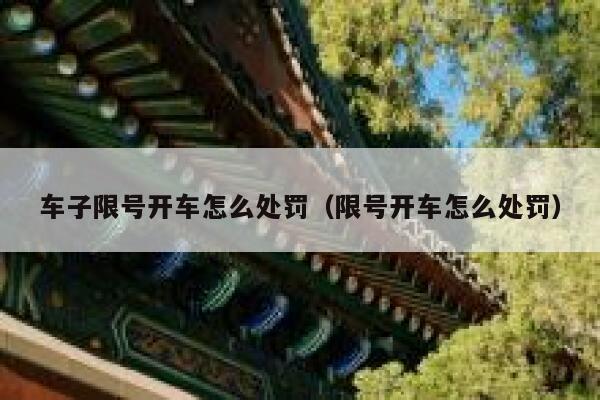 车子限号开车怎么处罚（限号开车怎么处罚） 第1张