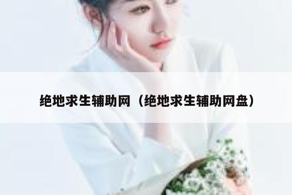 绝地求生辅助网（绝地求生辅助网盘） 第1张