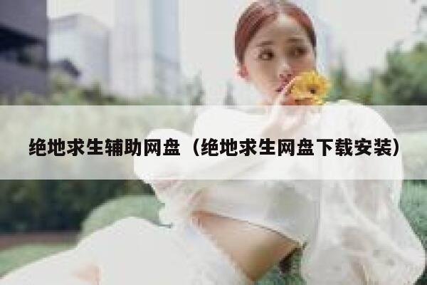 绝地求生辅助网盘（绝地求生网盘下载安装） 第1张
