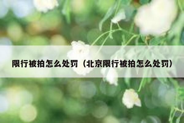 限行被拍怎么处罚（北京限行被拍怎么处罚） 第1张