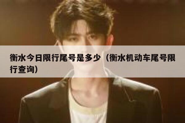 衡水今日限行尾号是多少（衡水机动车尾号限行查询） 第1张