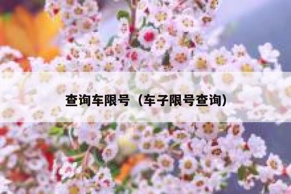 查询车限号（车子限号查询） 第1张