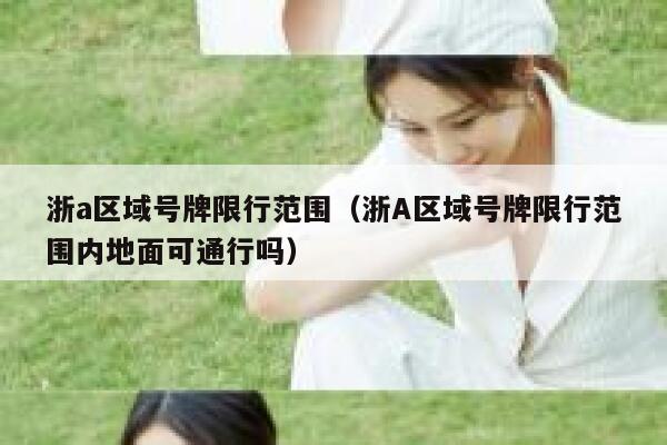 浙a区域号牌限行范围（浙A区域号牌限行范围内地面可通行吗） 第1张