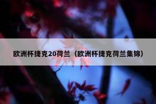 欧洲杯捷克20荷兰（欧洲杯捷克荷兰集锦） 第1张