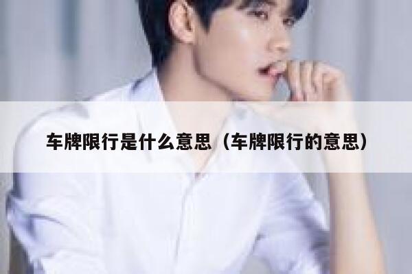 车牌限行是什么意思（车牌限行的意思） 第1张