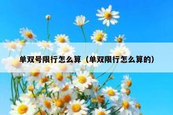单双号限行怎么算（单双限行怎么算的） 第1张