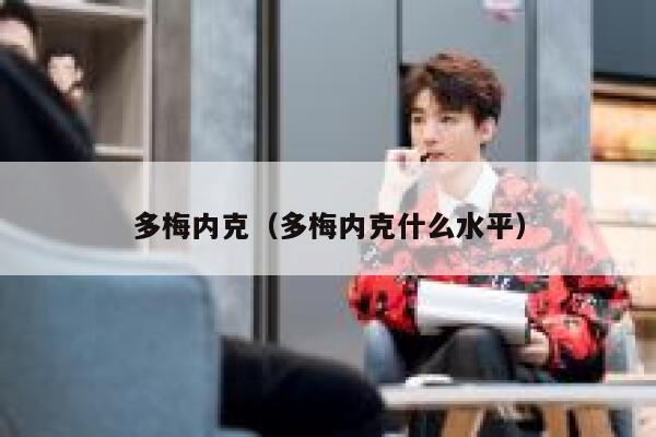 多梅内克（多梅内克什么水平） 第1张