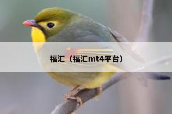 福汇（福汇mt4平台） 第1张