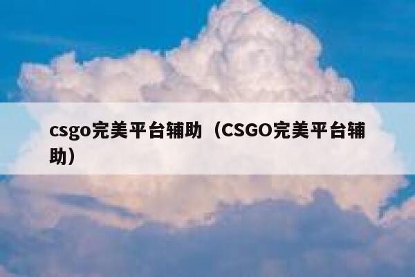 csgo完美平台辅助（CSGO完美平台辅助） 第1张
