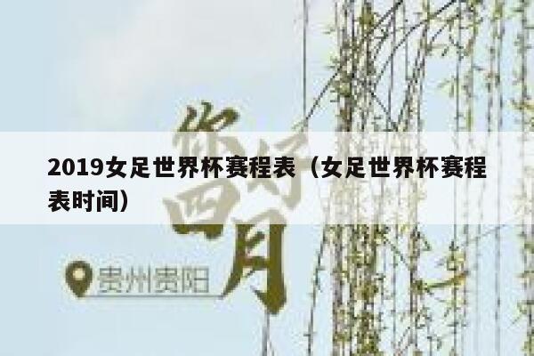 2019女足世界杯赛程表（女足世界杯赛程表时间） 第1张