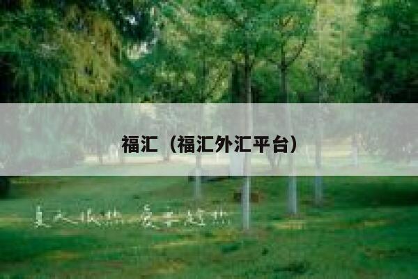 福汇（福汇外汇平台） 第1张