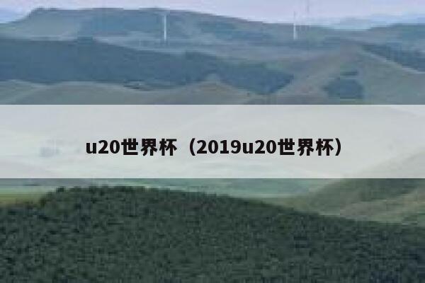 u20世界杯（2019u20世界杯） 第1张