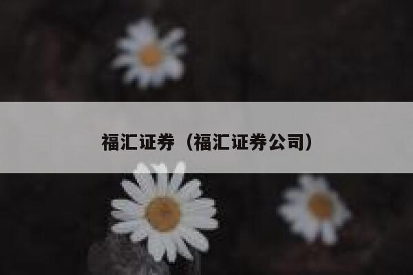 福汇证券（福汇证券公司） 第1张