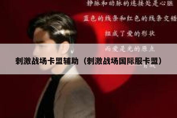 刺激战场卡盟辅助（刺激战场国际服卡盟） 第1张