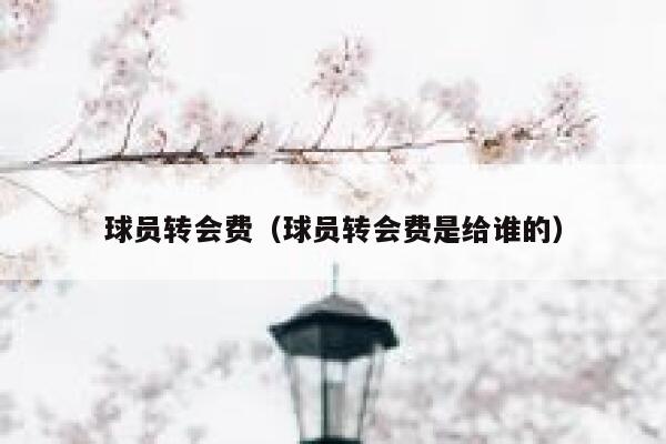 球员转会费（球员转会费是给谁的） 第1张