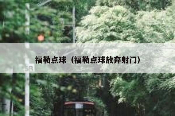 福勒点球（福勒点球放弃射门） 第1张