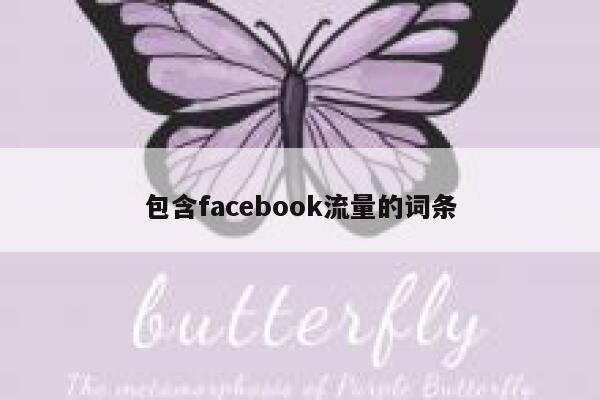 包含facebook流量的词条 第1张