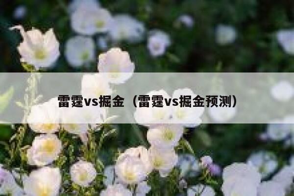 雷霆vs掘金（雷霆vs掘金预测） 第1张