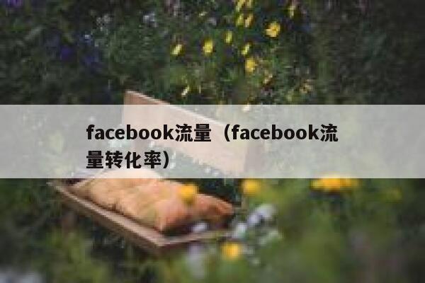 facebook流量（facebook流量转化率） 第1张