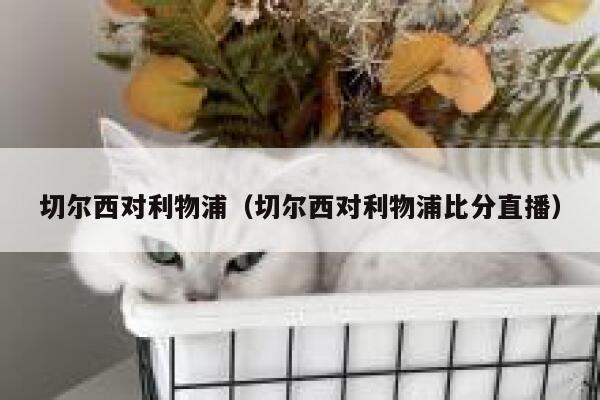 切尔西对利物浦（切尔西对利物浦比分直播） 第1张