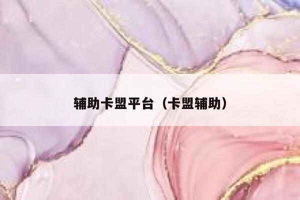 辅助卡盟平台（卡盟辅助） 第1张