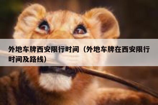 外地车牌西安限行时间（外地车牌在西安限行时间及路线） 第1张