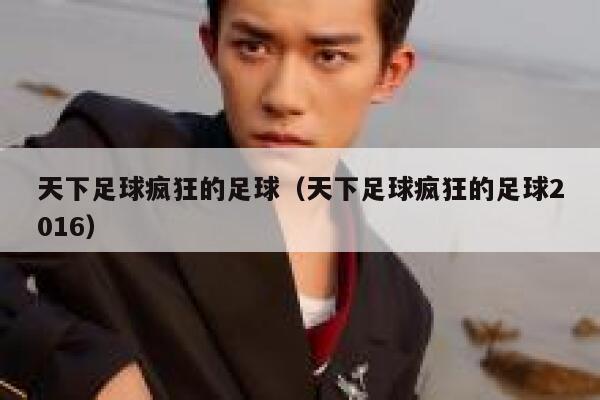 天下足球疯狂的足球（天下足球疯狂的足球2016） 第1张
